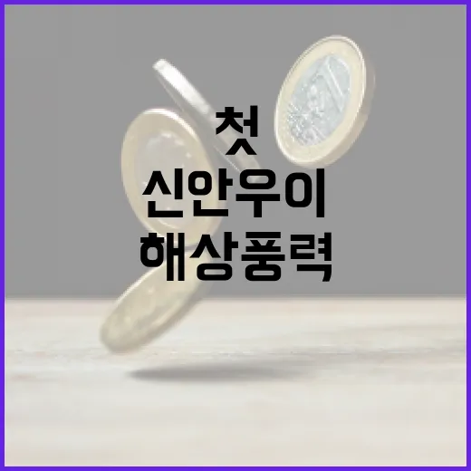 국내 첫 300MW 초과 해상풍력, 신안우이 선정