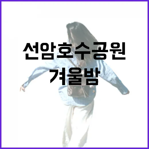 선암호수공원 겨울밤 빛의 향연