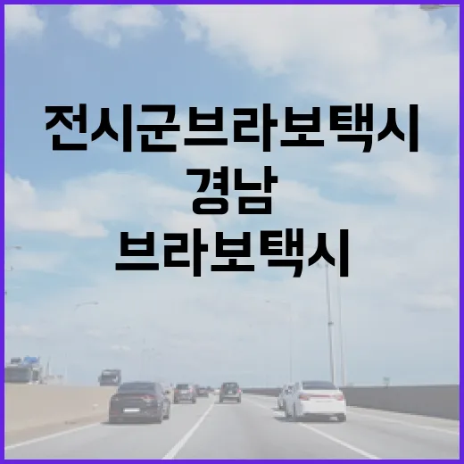 경남 전 시군 브라보택시 전면 확대