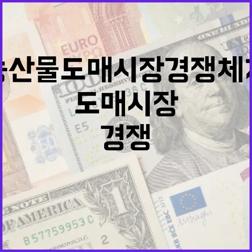 농산물 도매시장 경쟁체계 강화와 공공성 제고