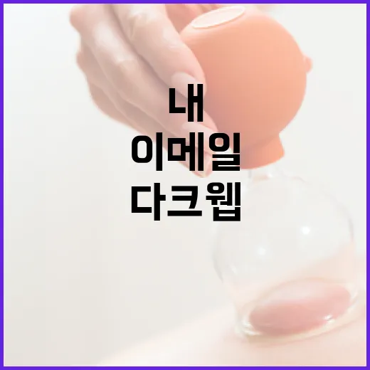 다크웹 유출 내정보, 이메일로도 확인 가능해졌다