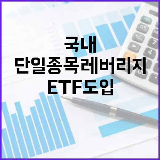 국내 첫 단일종목 레버리지 ETF 도입 예고