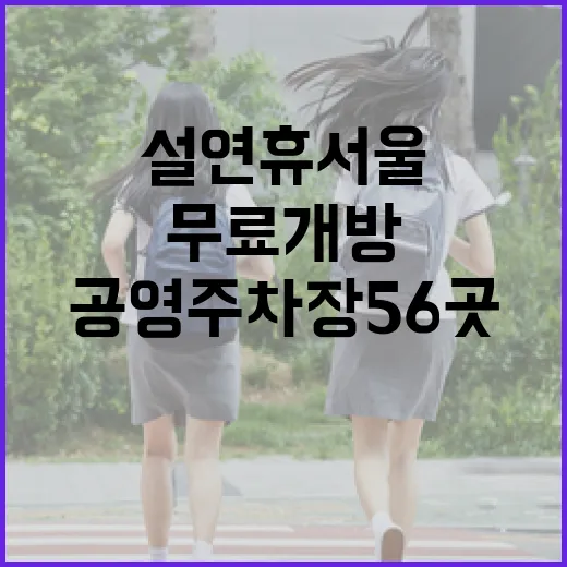 설 연휴 서울 공영주차장 56곳 무료 개방