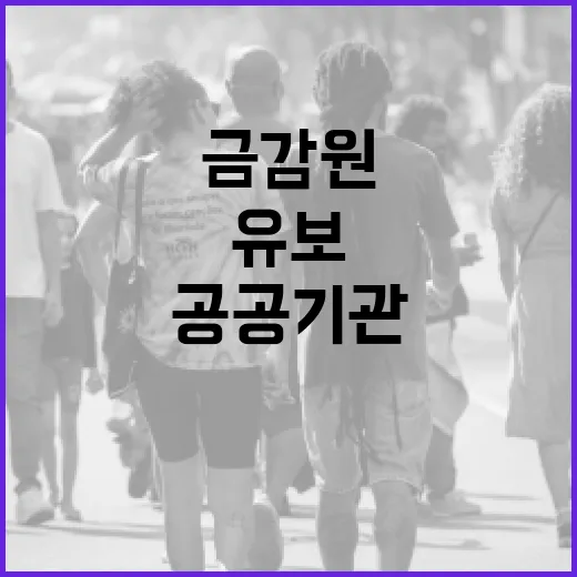 올해 공공기관 11개 증가, 금감원 지정 유보