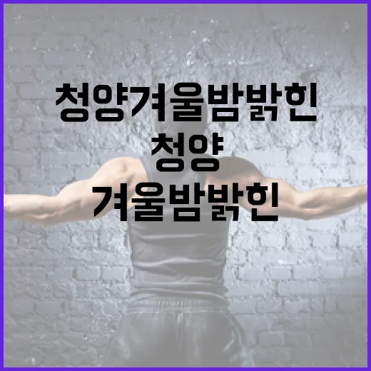 청양 겨울밤 밝힌 제1회 청불페 성황