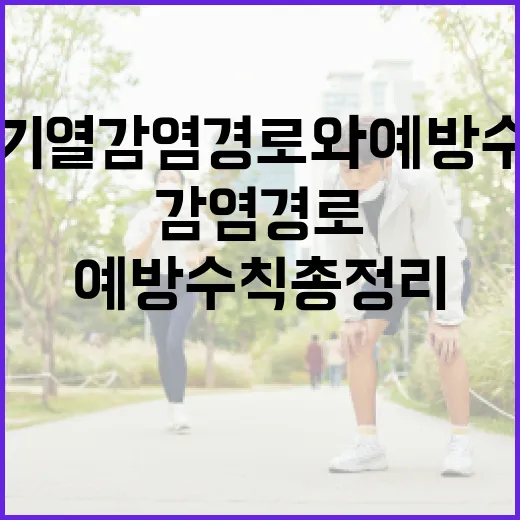 뎅기열 감염 경로와 예방수칙 총정리