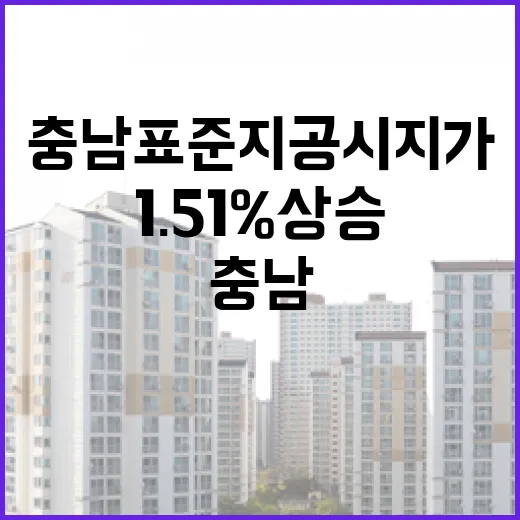 충남 표준지 공시지가 1.51% 상승