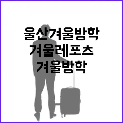 울산 겨울방학 가족 겨울레포츠 명소