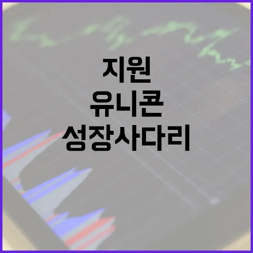 유니콘 성장사다리 구축, 중기부 2년간 최대 16억 지원