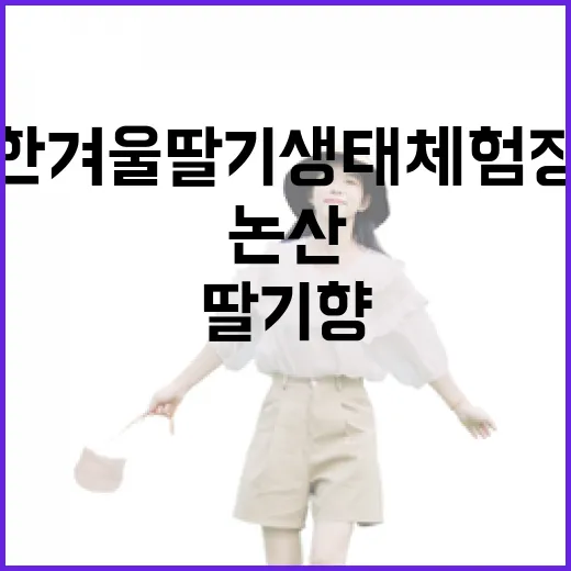 한겨울 딸기 생태 체험장 논산 딸기향공원