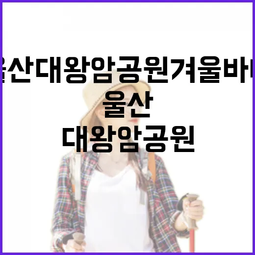 울산 대왕암공원 겨울 바다 산책길