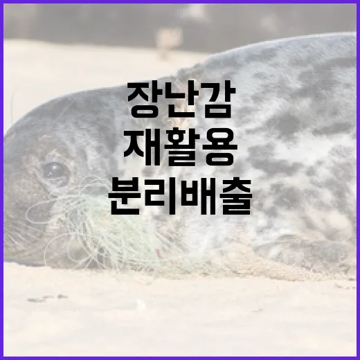 장난감 분리배출과 재활용의 중요성