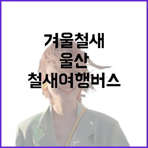 울산 겨울철새 여행버스 체험기