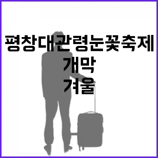 2026 평창 대관령눈꽃축제 개막, 겨울의 감성 가득