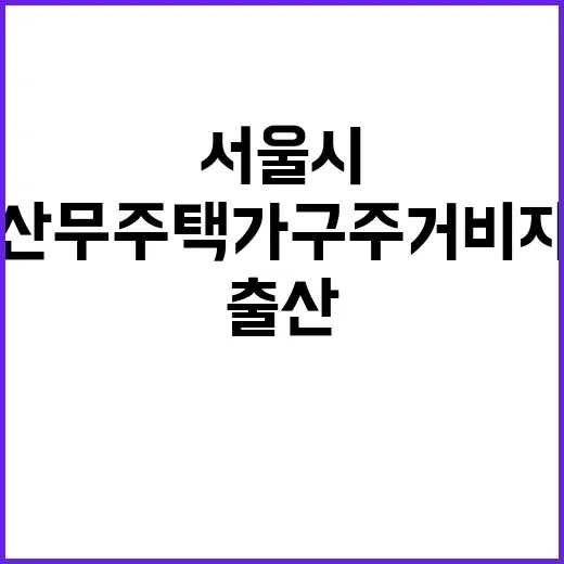 서울시 출산 무주택…