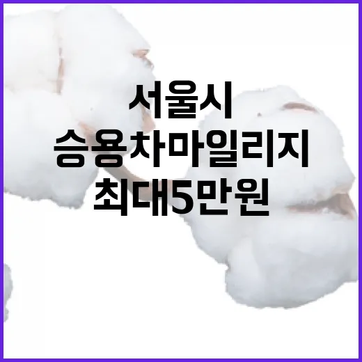 서울시 승용차 마일리지, 최대 5만원 혜택