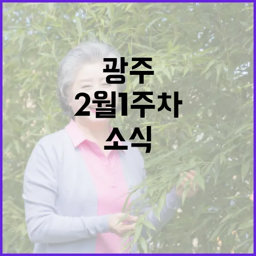 광주 2월 1주차 주목할 문화·체험 소식