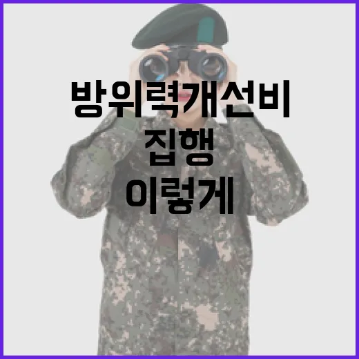 방위력개선비 집행, 사실은 이렇게 진행 중