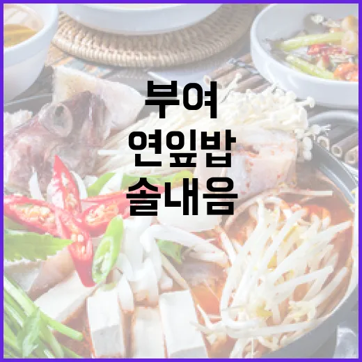 부여 솔내음 연잎밥 명가 방문기