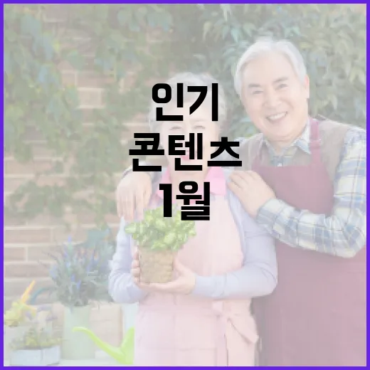 2026년 1월, 세종시 배움과 여행 콘텐츠 인기