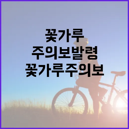 삼나무 꽃가루 주의보 발령, 건강 관리 필수