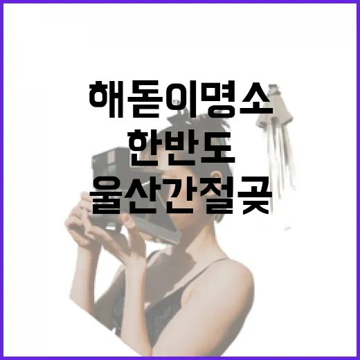 울산 간절곶, 한반도 첫 해돋이 명소