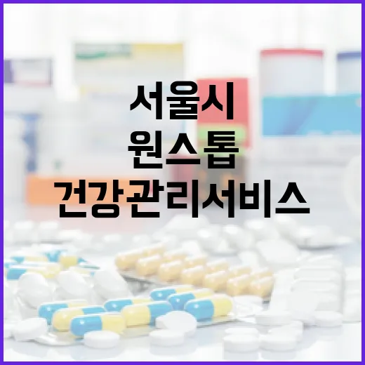 서울시 보건소 원스톱 건강관리 서비스 개시