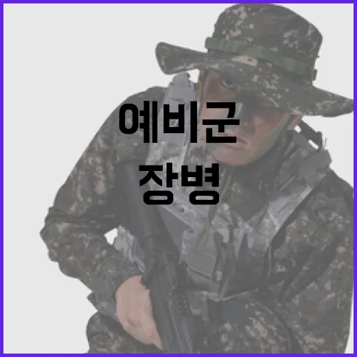 입영부터 예비군까지 한눈에, 장병e음 출범