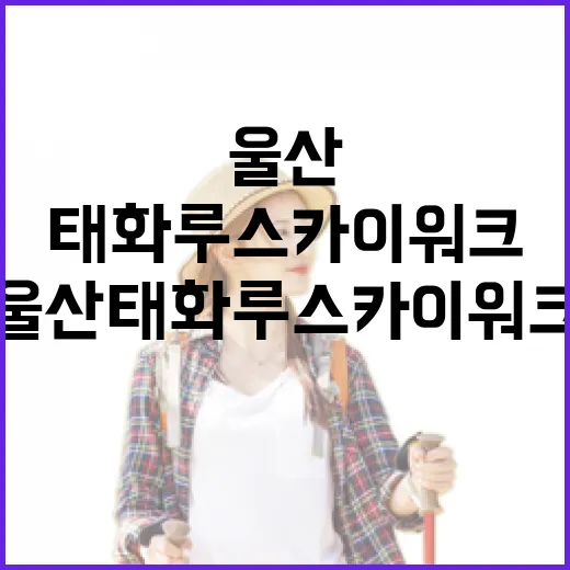 울산 태화루 스카이워크, 밤을 밝히는 새 명소