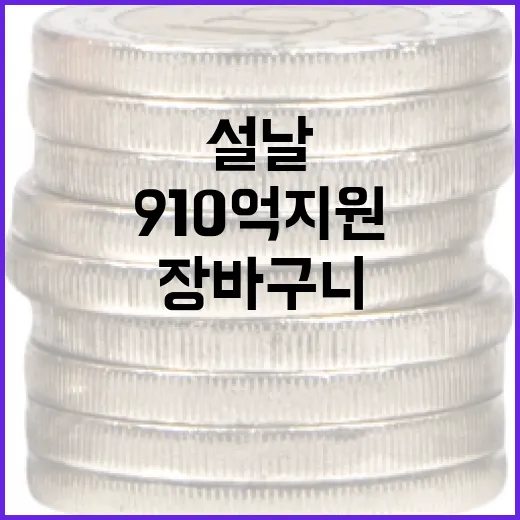 설날 장바구니 부담 확 줄인다, 최대 910억 지원