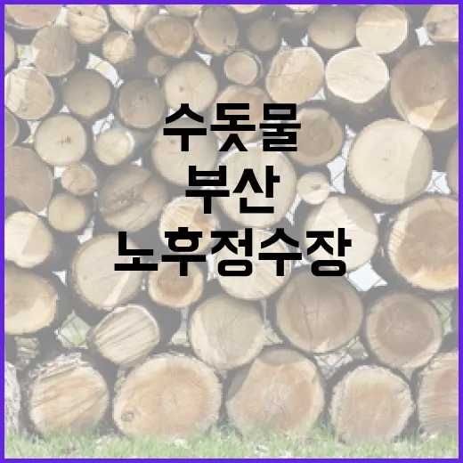 부산, 노후정수장 스마트 현대화로 깨끗한 수돗물 보장