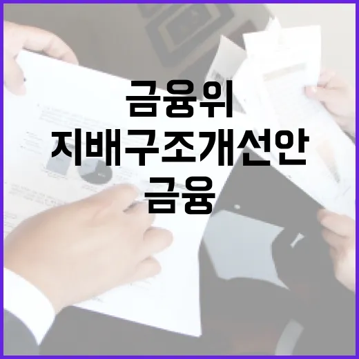 금융위, 금융회사 지배구조 개선안 아직 미정