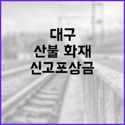대구 산불·화재 신고 포상금 제도 안내