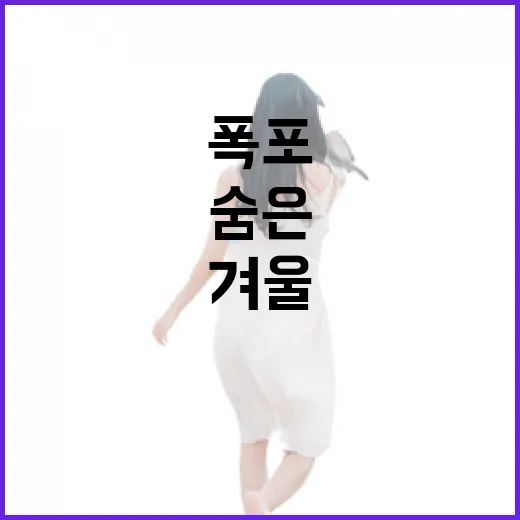 겨울 옥계폭포, 얼음 속에 숨은 자연의 정취