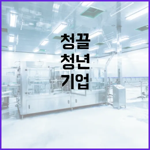 부산 청년 일자리 확대, 120개 청끌기업 모집