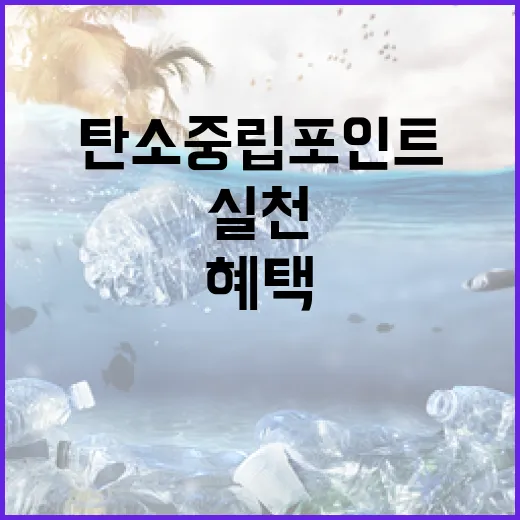 제주시 탄소중립포인트제로 실천과 혜택