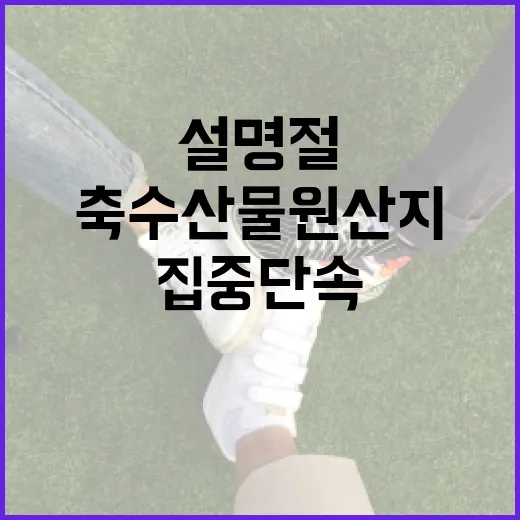 설 명절 축수산물 원산지 집중단속