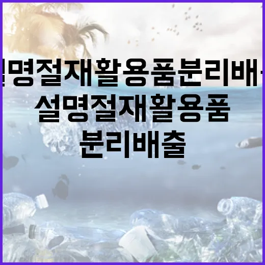 설 명절 재활용품 분리배출로 포인트 챙기기