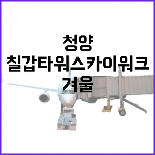 청양 칠갑타워 스카이워크 겨울 풍경