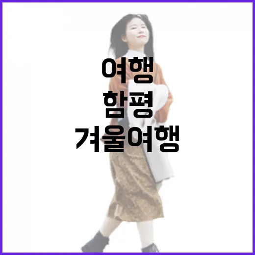 함평 겨울 여행, 강아지와 고양이의 발길 따라