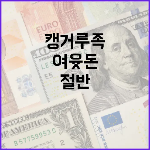 캥거루족 자녀 가구 여윳돈 절반 수준