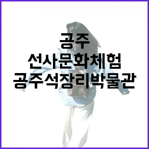 공주 석장리박물관,…