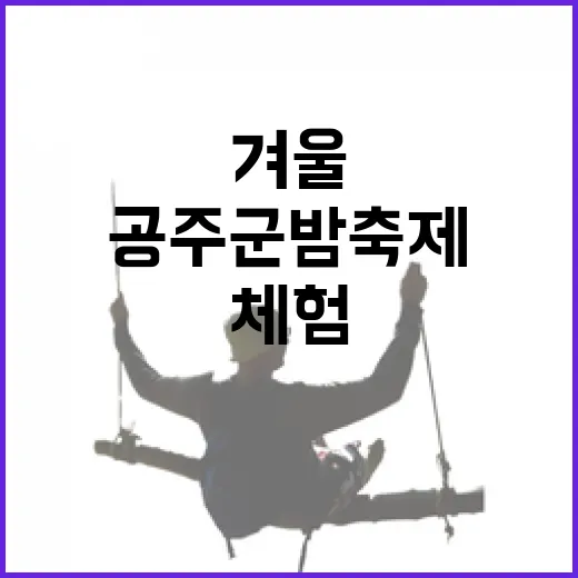 공주 군밤축제, 겨울 낭만 가득한 체험 현장