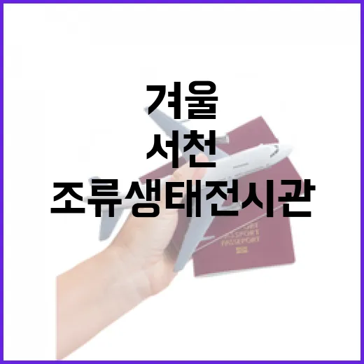 서천 조류생태전시관, 겨울철새의 낙원