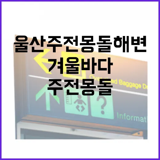 울산 주전 몽돌해변의 겨울 바다 매력