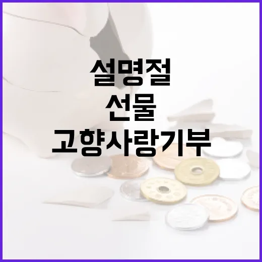 설 명절, 고향사랑기부로 알뜰 선물과 세액공제 누리자