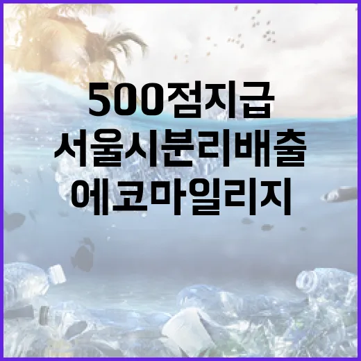 서울시 분리배출 챌린지, 에코마일리지 500점 지급