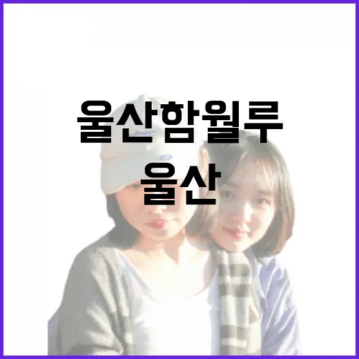 울산 함월루, 밤빛에 물든 누각의 매력