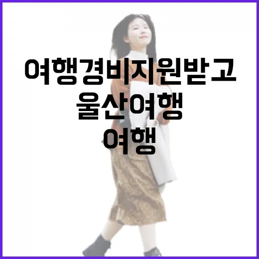 울산 여행 경비 지원받고 떠나자