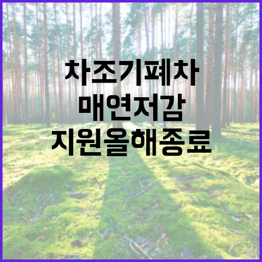 노후차 조기폐차·매연저감 지원 올해 종료